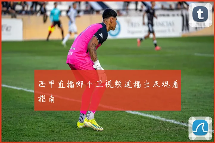 西甲直播哪个卫视频道播出及观看指南