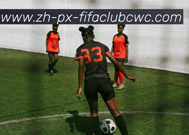 世界杯平台发展历程